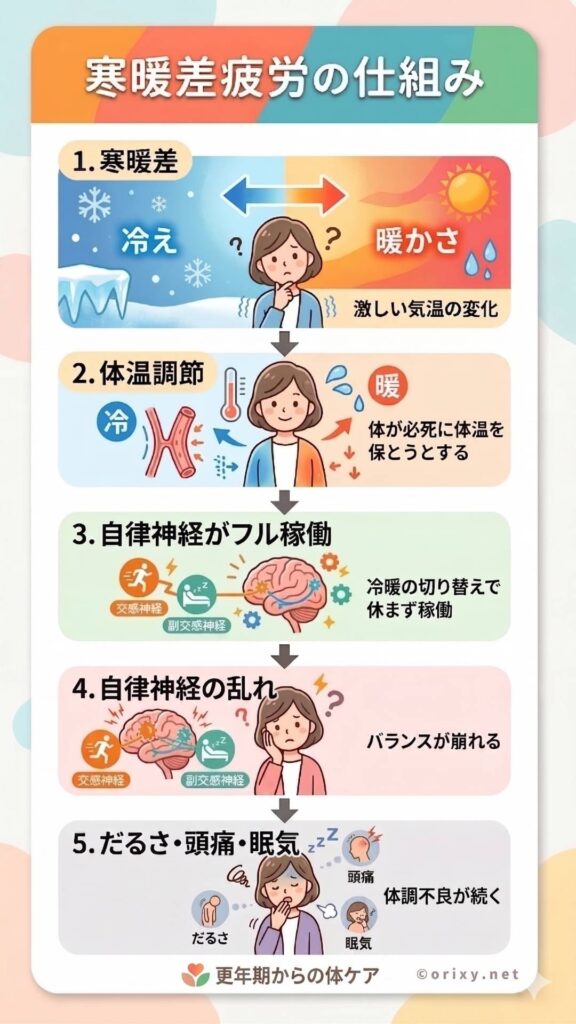 寒暖差で乱れる自律神経の仕組みを図解したイラスト